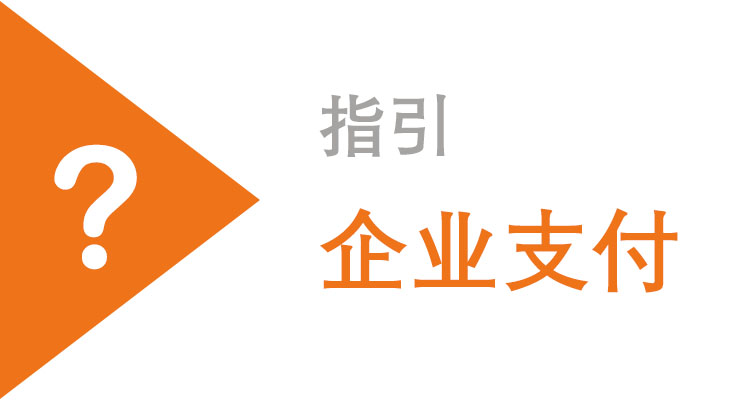 指引 - 如何使用企业支付
