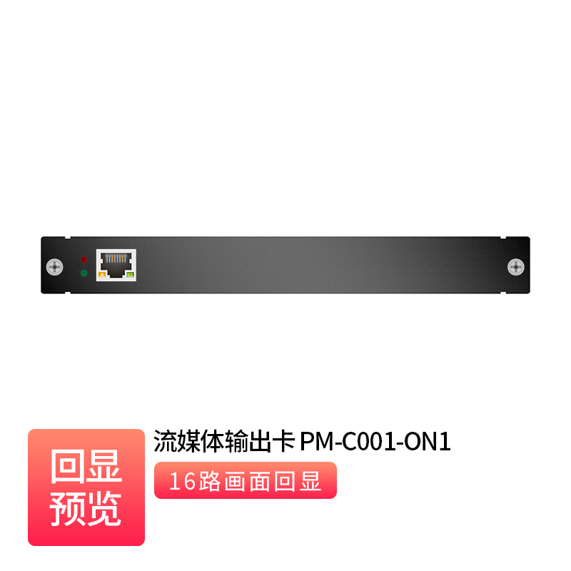 Streaming Output Card _ PM-C001-ON1