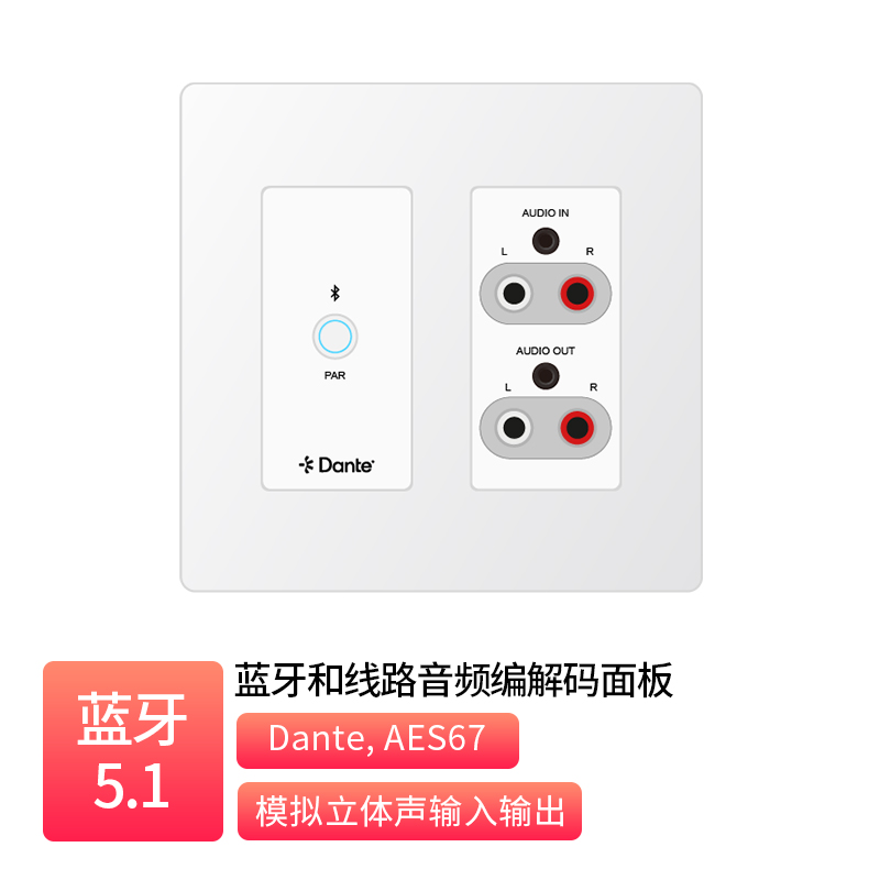 Bluetooth and Line Audio Codec Panel _  AT-P22BLD